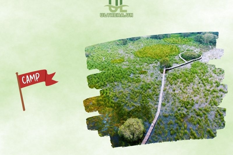 Cánh đồng bất tận