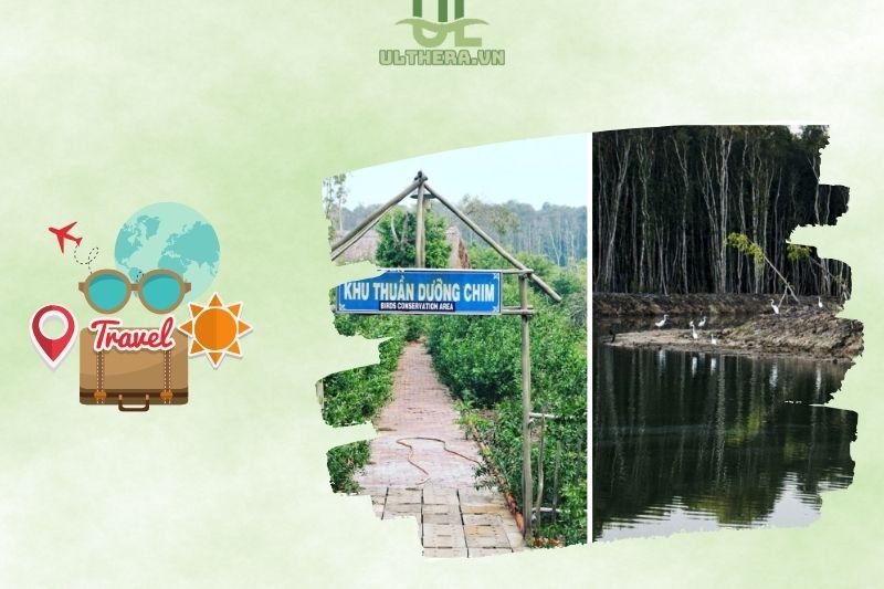 Đảo Thuần Dưỡng Chim