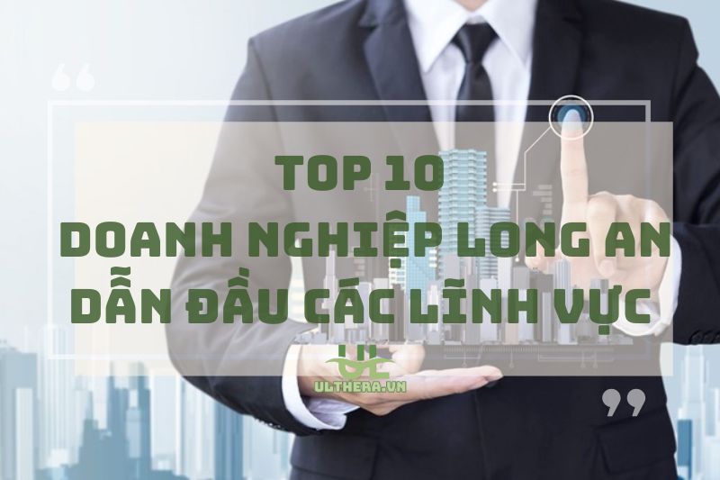 Hé Lộ Các Doanh Nghiệp Long An Dẫn Đầu Trong Các Lĩnh Vực 2025