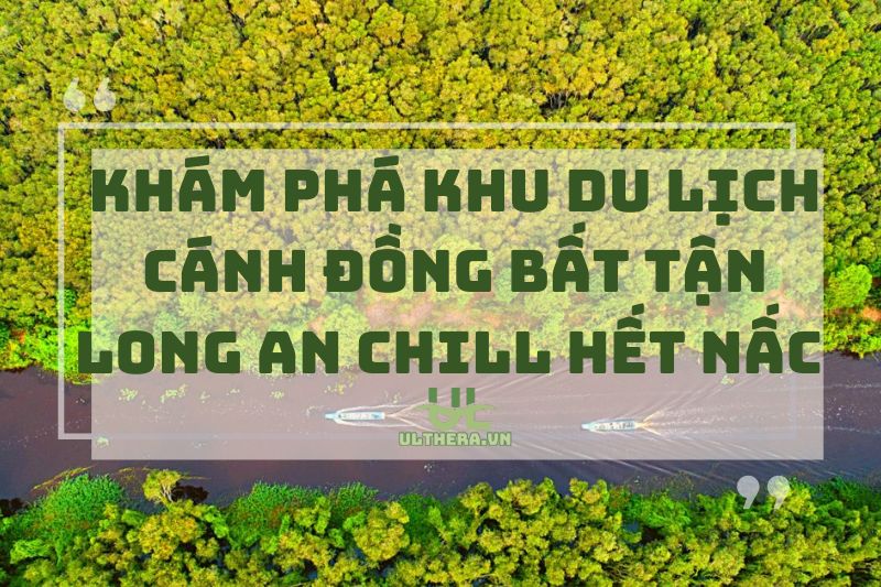 Khám phá khu du lịch cánh đồng bất tận Long An Chill hết nấc 2025