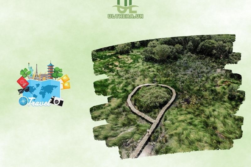 Khám phá vẻ đẹp thiên nhiên tại khu du lịch cánh đồng bất tận Long An
