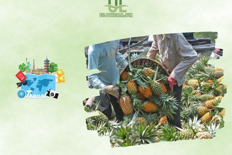 Lịch sử và ý nghĩa văn hóa