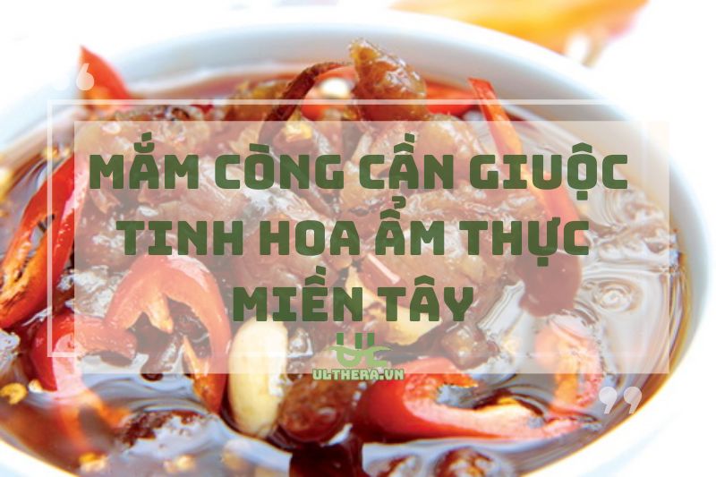 Mắm còng Cần Giuộc Long An: Tinh hoa ẩm thực miền Tây 2025