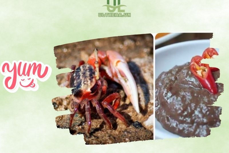 Mắm còng Cần Giuộc Long An là gì?