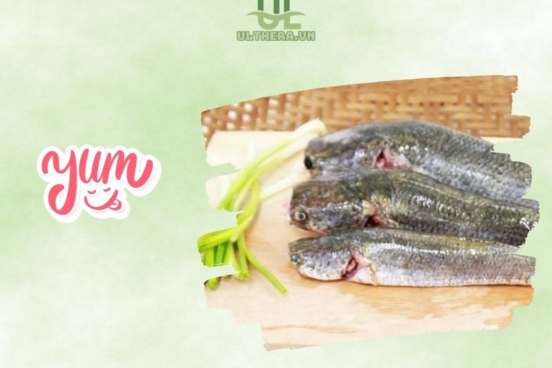 Nguyên Liệu Chính Của Bún Xiêm Lo