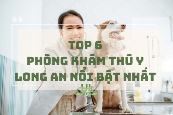 Tham khảo ngay top phòng khám thú y Long An nổi bật nhất 2025