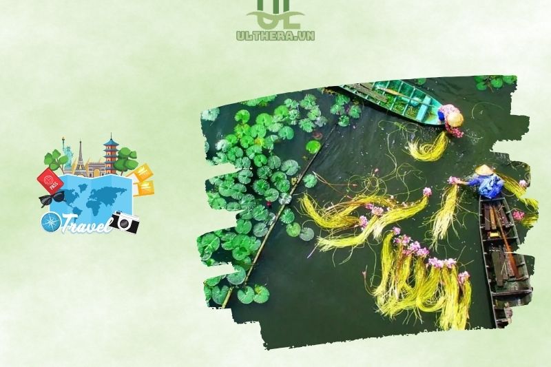 Thời điểm lý tưởng để tham quan Láng Sen