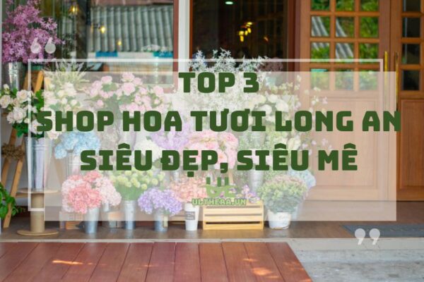 Top 3 Shop Hoa Tươi Long An siêu đẹp, siêu mê 2025