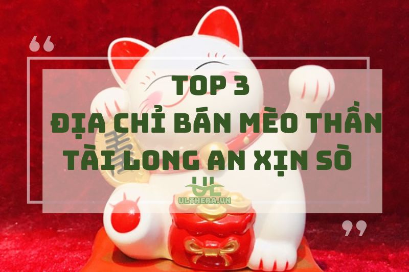 Top 3 địa chỉ bán mèo thần tài Long An xịn sò 2025