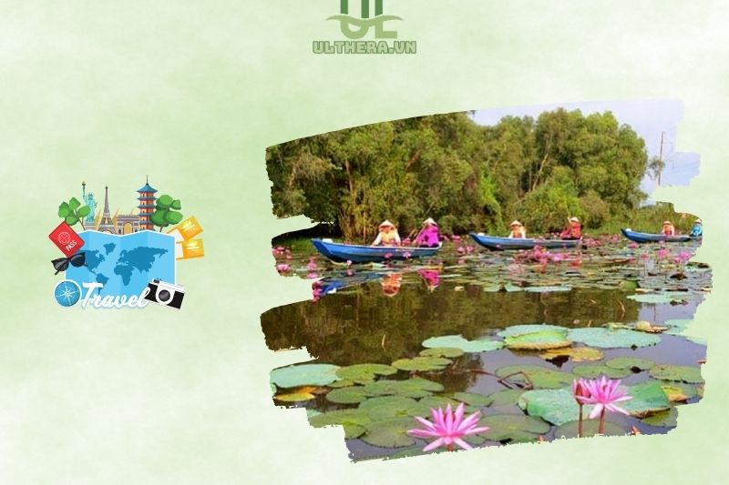Vẻ đẹp thiên nhiên của khu bảo tồn đất ngập nước Láng Sen Long An