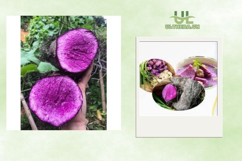 Chứng Nhận Chỉ Dẫn Địa Lý Và Tầm Quan Trọng