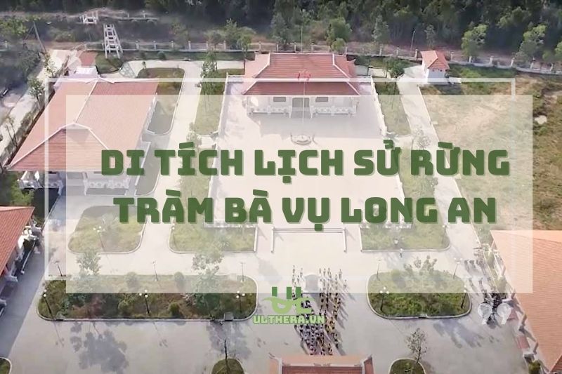 Di Tích Lịch Sử Rừng Tràm Bà Vụ Long An – Hành Trình Khám Phá