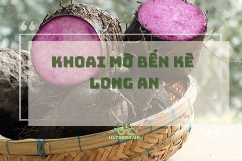 Khoai Mỡ Bến Kè Long An: Đặc Sản Nức Tiếng, Giá Trị Cao