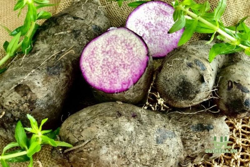 Mua Khoai Mỡ Bến Kè Long An Ở Đâu?