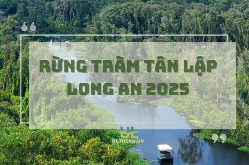 Rừng tràm Tân Lập Long An 2025 - Địa điểm du lịch hấp dẫn