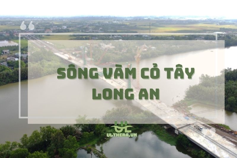 Sông Vàm Cỏ Tây Long An: Lịch Sử, Giao Thông & Điểm Check-in Cực Chill