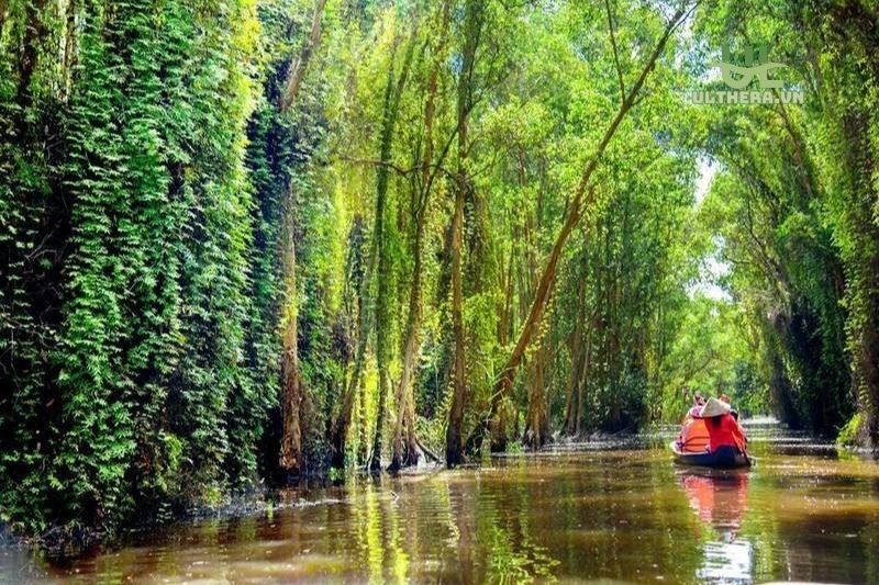 Tổng Quan Rừng tràm Tân Lập Long An 