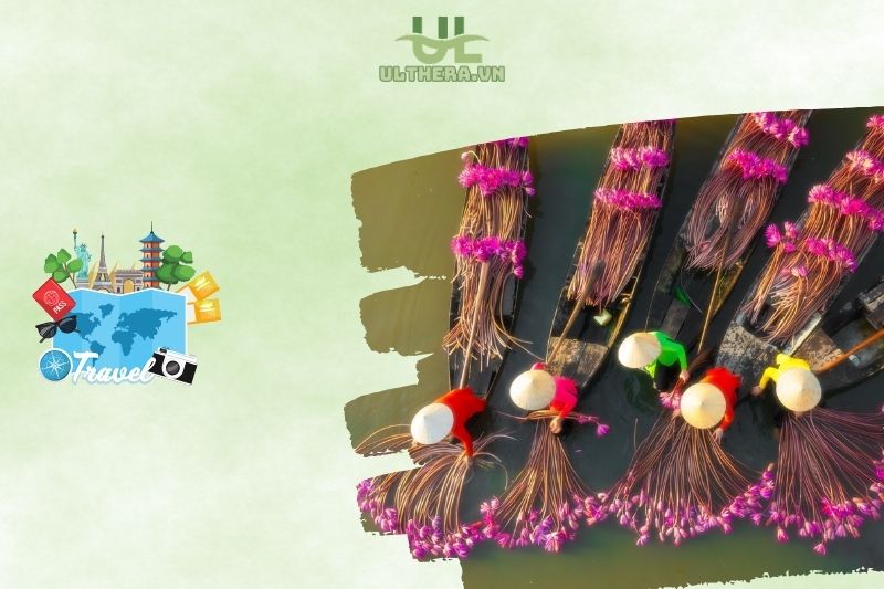 Trải nghiệm du lịch mùa nước nổi và bông súng Long An